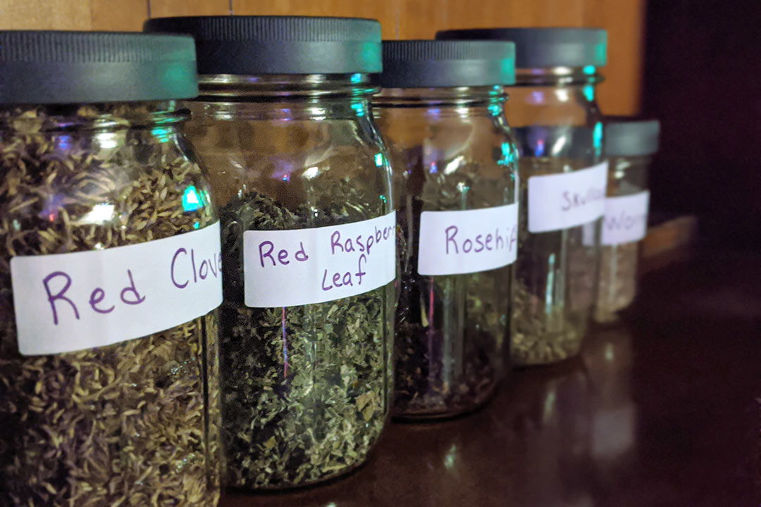 jars of dried herbs